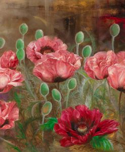 Poppies IV