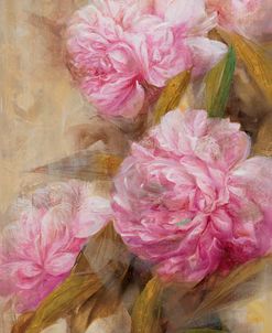 Peonies II