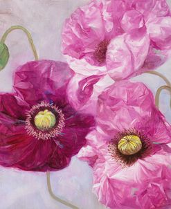 Purple Poppies I