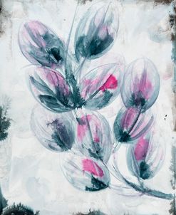 Fuschia Splash 2