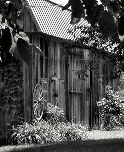 Barn 5  16×23