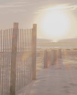 Beach Fences and Sun