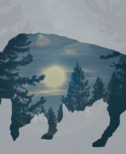 Buffalo Silhouette