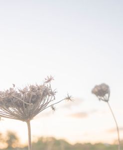 Petite Wild Bloom Grass 2