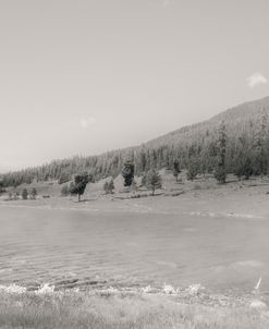 Yellowstone Lake View 1