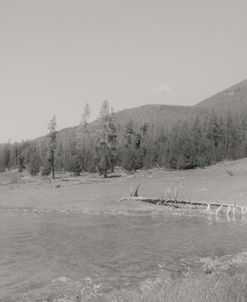 Yellowstone Lake View 2
