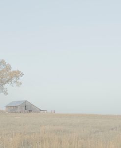 Farm and Skyview