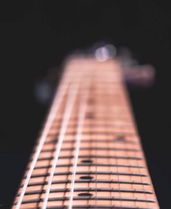 Guitar Fretboard