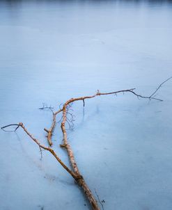 Blue Frozen Pond Glass 4