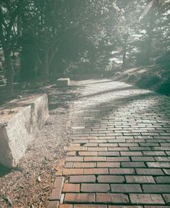 Dream and Walkway