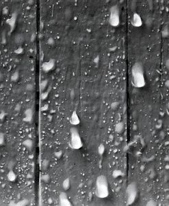 Drops on Wood