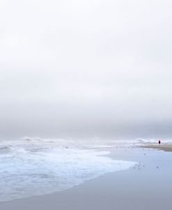 Red alone on the Coast