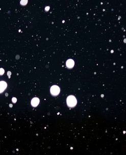 Snowy Night 4