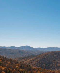 Golden Fall Horizon