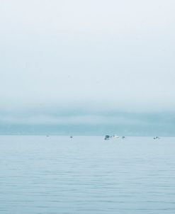 The Morning Catch 2