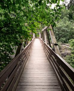 The Best Walkway