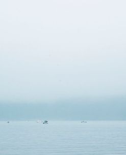 The Early Catch