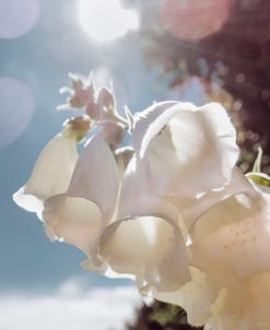 Wedding Bell Florals