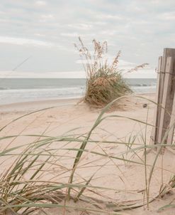 Single Dune Hill
