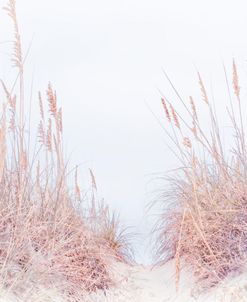 The Pastel Beach Pathway