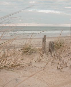 The Secret Morning Beach