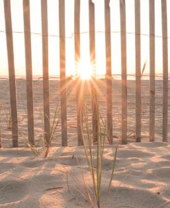 Beach Dune Rise