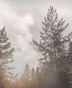 Yellowstone Sun Glow