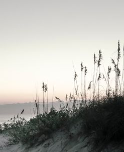 Beach’s Evening