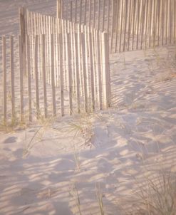 Dune Fence Zagg