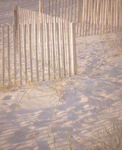 Dune Fence Zagg