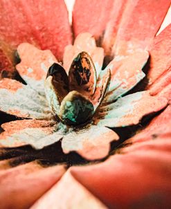 Flower and Metal 5