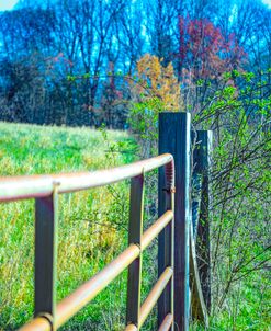 Fence and Colors