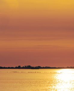 Golden Lagoon and Sky