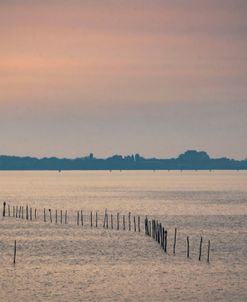 Wood Path in Lagoon