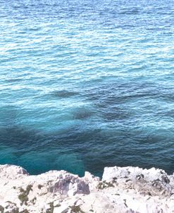 Mediteranean Swimming