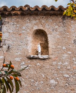 Oranges and Stone