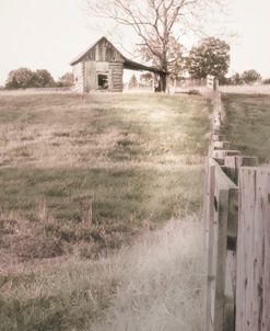 Farm Fenceline