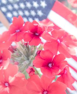 July Bouquet
