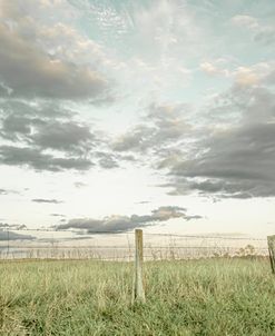 Country Perfect