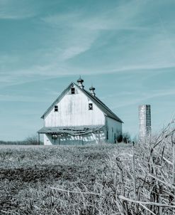 Farm Life Aged