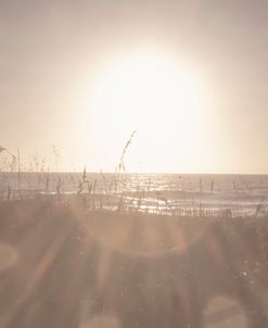 Light Struck Beach