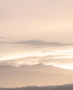 The Morning Mountains