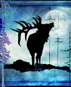 Midnight Elk