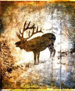 High Country Elk