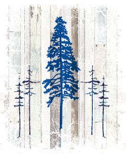 The Blue Moose – Lodge Pole Pine
