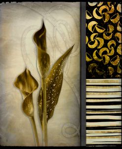 Gold Lily 1