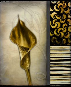 Gold Lily 2