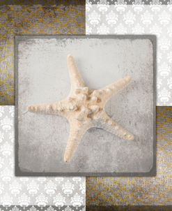 Vintage Natuical Star 2