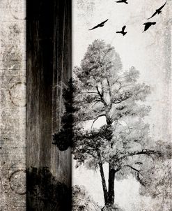 July Tree 11