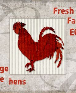 Decortive Pattern Farm Fresh Chicken